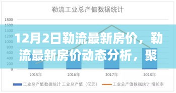 勒流最新房价动态，12月2日市场走向深度分析与个人观点