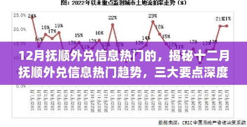 2024年12月4日 第25页