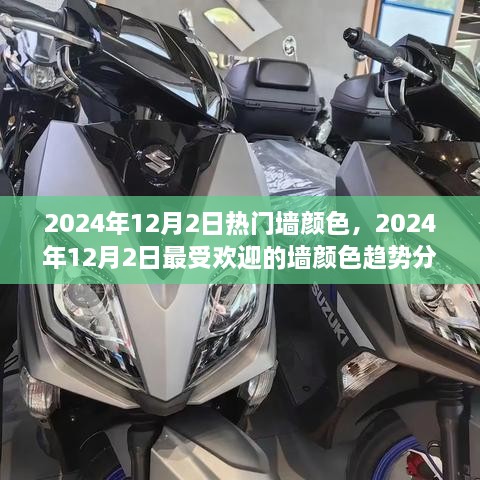 2024年12月2日热门墙颜色趋势分析，最受欢迎的墙面颜色揭晓