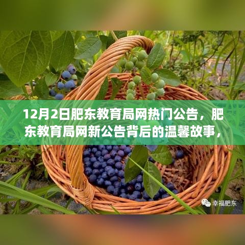 肥东教育局网最新公告背后的教育之旅，爱的传递与温馨故事