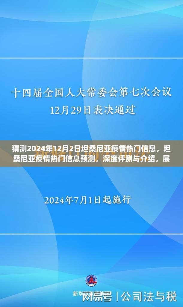 坦桑尼亚疫情热门信息预测与深度评测，展望2024年12月2日的态势