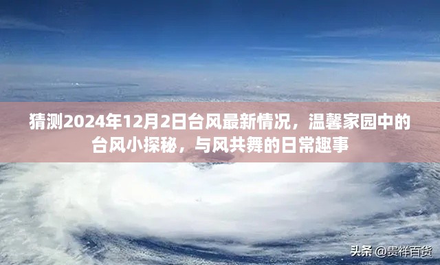 温馨家园中的台风小探秘，揭秘2024年台风最新动态与日常趣事分享