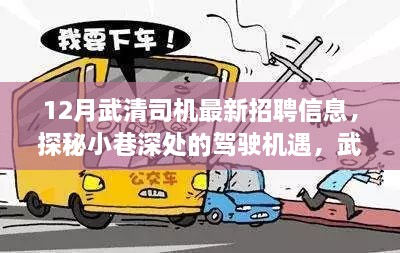 探秘武清最新司机招聘机遇，小巷深处的驾驶机遇揭秘