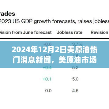 揭秘，美原油市场重磅消息深度评测——2024年12月2日市场动态观察