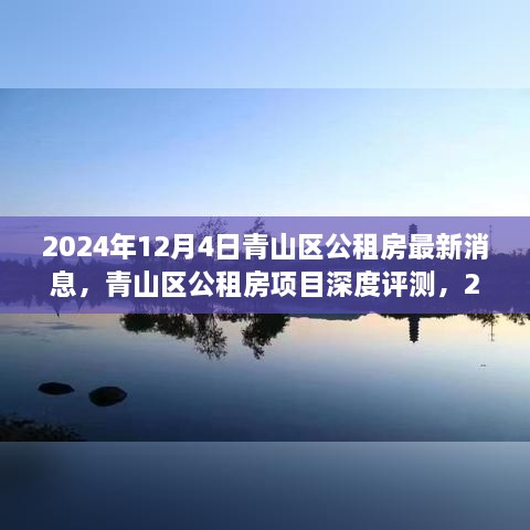 青山区公租房项目深度评测，最新动态与全方位解读（2024年）