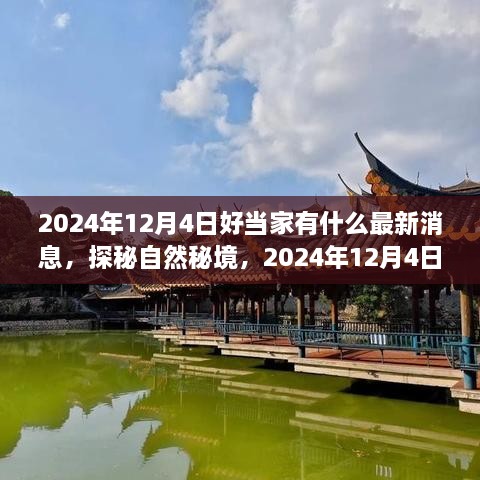 探秘自然秘境，揭秘好当家在2024年12月4日的最新动态与启程寻找内心的桃花源之旅