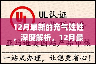 12月最新充气姓姓产品深度解析与评测报告