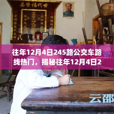 揭秘，往年12月4日245路公交车路线的魅力与热门原因解析