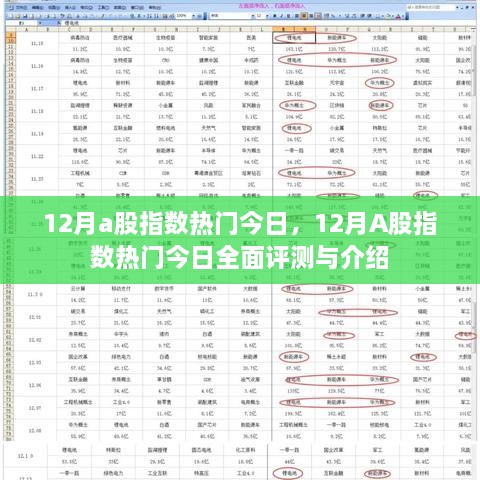 12月A股指数热门今日，全面评测与介绍