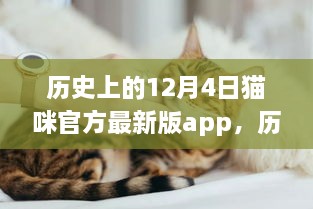 历史上的12月4日猫咪官方最新版app，全面评测与详细介绍