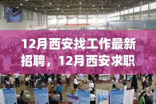 12月西安求职招聘新篇章，职场魔法之旅，学习、变化与自信的征途