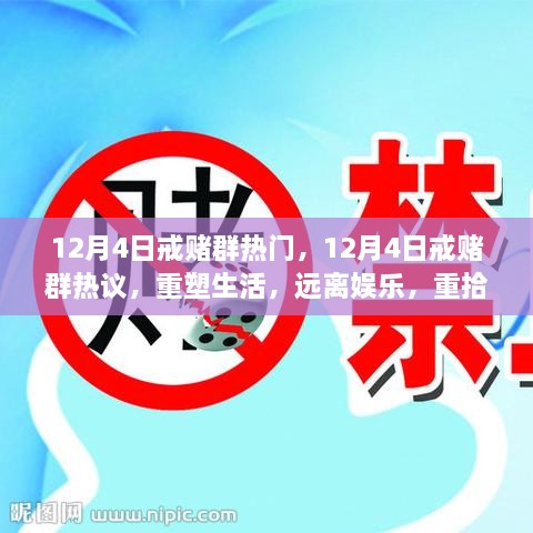 重塑生活，远离娱乐，12月4日戒赌群热议，重拾希望之路