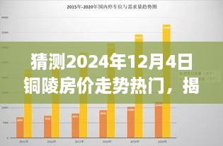 2024年12月5日 第2页