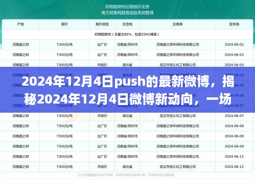 揭秘科技与文化的融合盛宴，2024年微博新动向回顾与解读