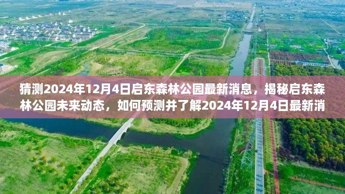 揭秘启东森林公园未来动态，预测与了解最新消息，聚焦2024年启东森林公园发展动态展望！