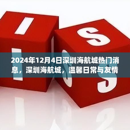 深圳海航城，温馨日常与友情的奇妙邂逅（2024年12月4日热门消息）