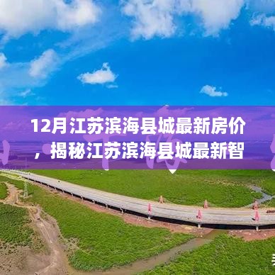 揭秘江苏滨海县城最新智能房价系统，科技引领未来居住体验革命，最新房价趋势分析！