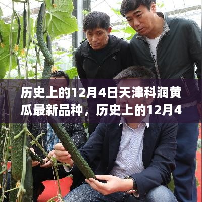 历史上的12月4日天津科润黄瓜新品种演变及其影响概述