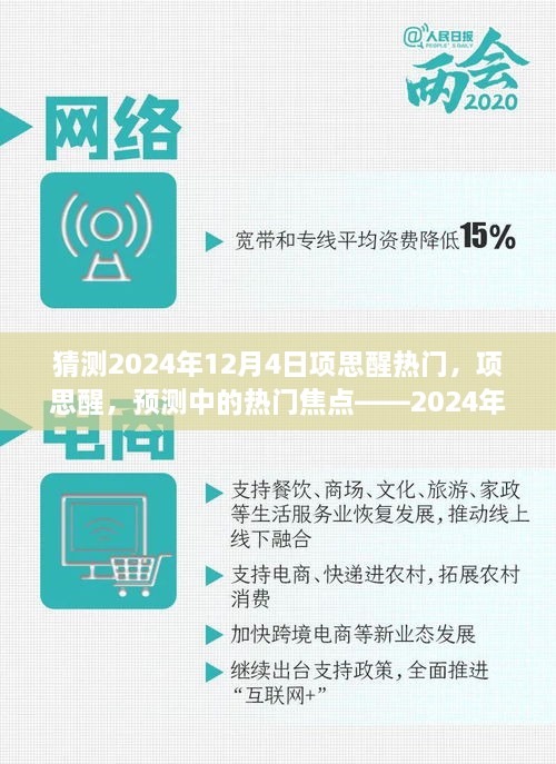 项思醒，预测中的热门焦点——深度解读即将到来的2024年12月4日热潮