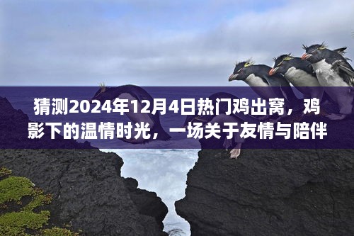 鸡窝冒险记，友情与陪伴的温情时光，预测2024年热门鸡影下的冒险启程