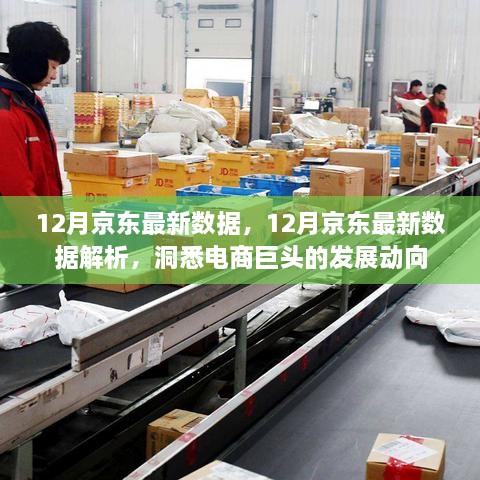 洞悉京东发展动向，12月最新数据解析