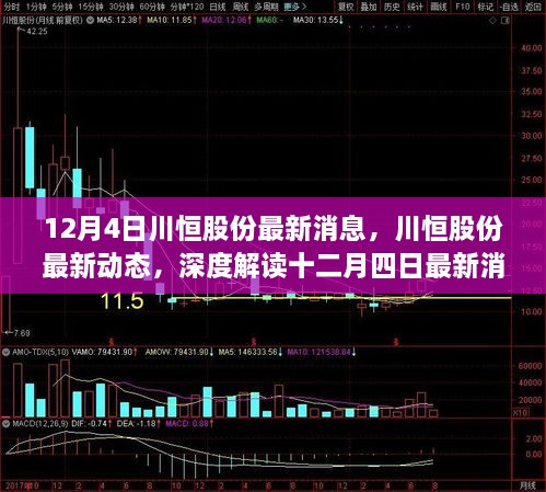 川恒股份最新动态及深度解读，十二月四日最新消息速递