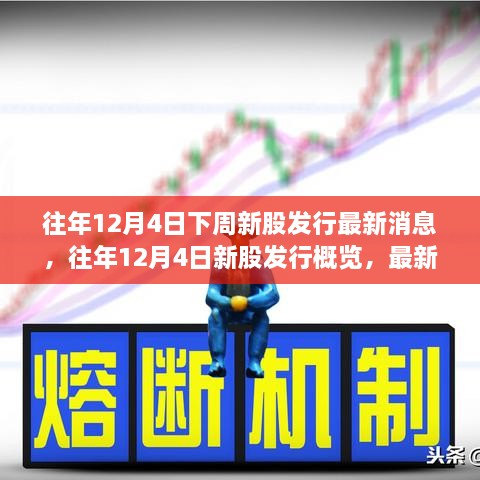 往年12月4日新股发行概览及深度评测，最新消息与概览呈现