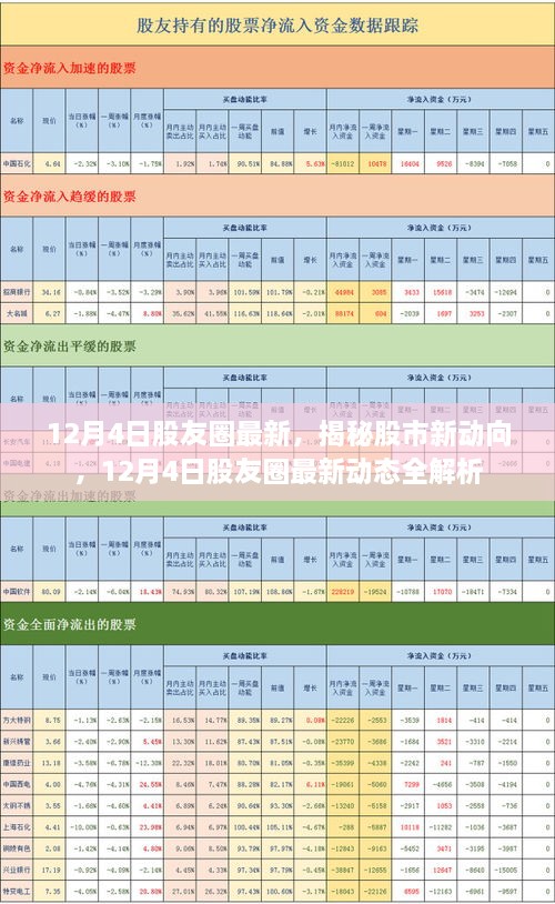 揭秘股市新动向，12月4日股友圈最新动态全解析