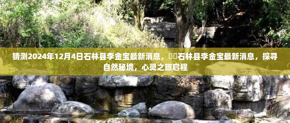 石林县李金宝最新消息揭秘，自然秘境探寻与心灵之旅启程