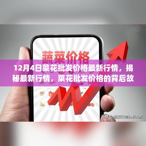 揭秘菜花批发市场最新行情，点燃学习变化之火的自信与成就感提升之路