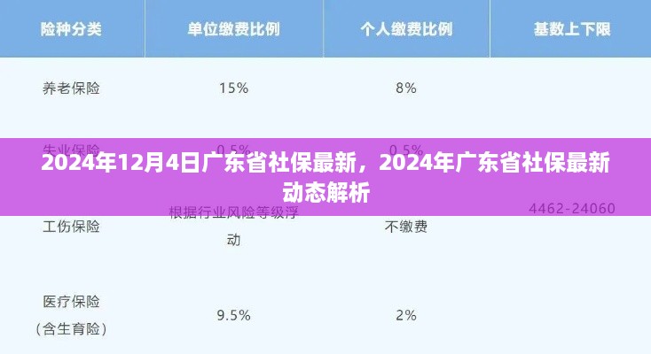 2024年广东省社保最新动态解析