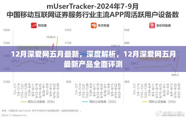 深度解析，12月深爱网五月最新产品全面评测与深度解读