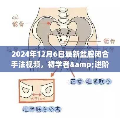 最新盆腔闭合手法视频教程，初学者与进阶用户指南（2024年版）