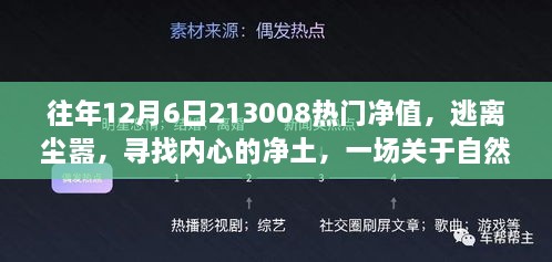 逃离尘嚣，自然美景之旅，探寻内心净土与往年热门净值回顾