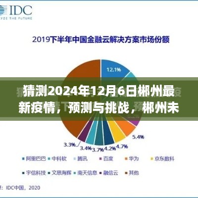 郴州未来疫情趋势分析，以2024年12月6日为观察点的预测与挑战