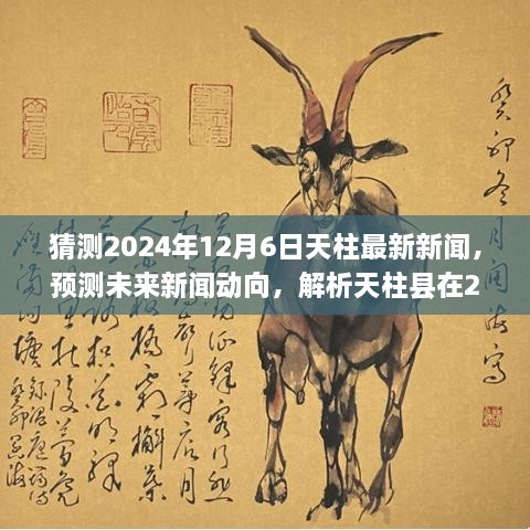 2024年12月6日天柱县新闻展望，预测未来动向，深度解析