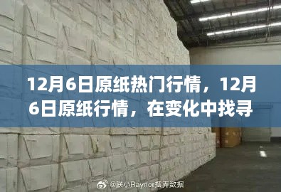 12月6日原纸行情深度解析，探寻自信与成就，学习助力超级成长