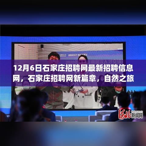 石家庄招聘网最新招聘信息，自然之旅，寻找内心的宁静与平和