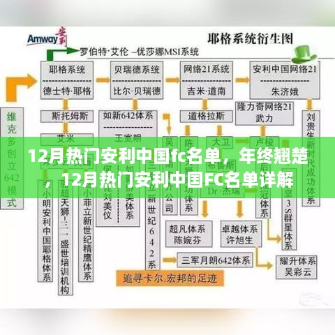 年终翘楚揭秘，12月热门安利中国FC名单详解