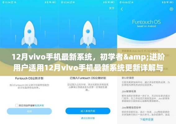 12月vivo手机最新系统详解与操作指南，适合初学者与进阶用户