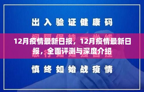 2024年12月7日 第33页