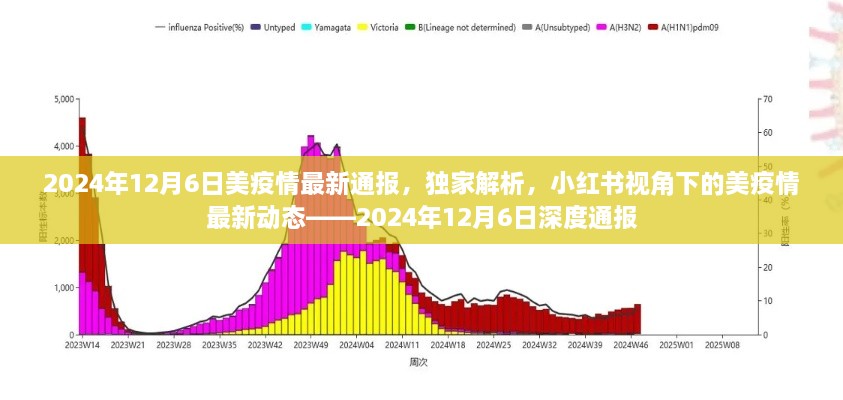 小红书独家解析，2024年12月6日美国疫情深度通报及最新动态