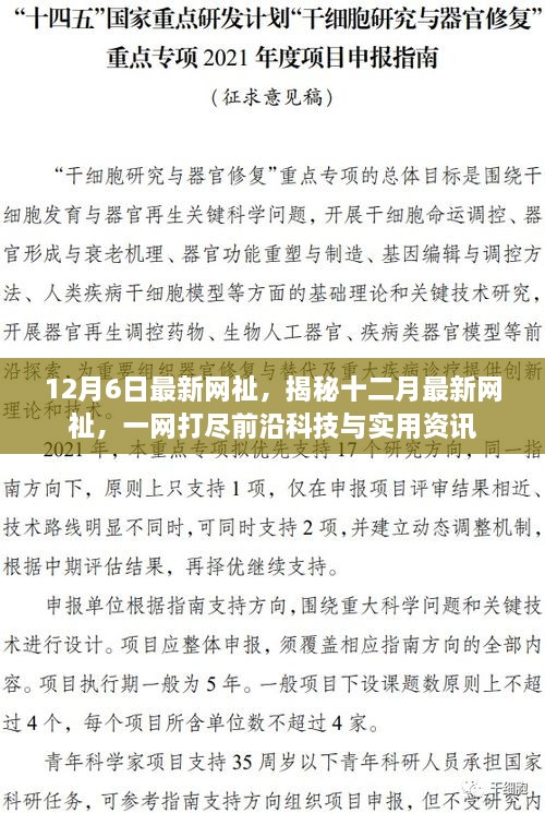 揭秘十二月最新网祉，前沿科技与实用资讯一网打尽