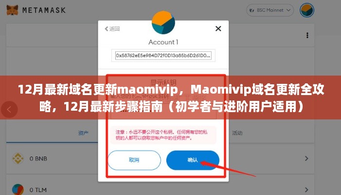 12月最新Maomivip域名更新全攻略，从初学者到进阶用户的步骤指南