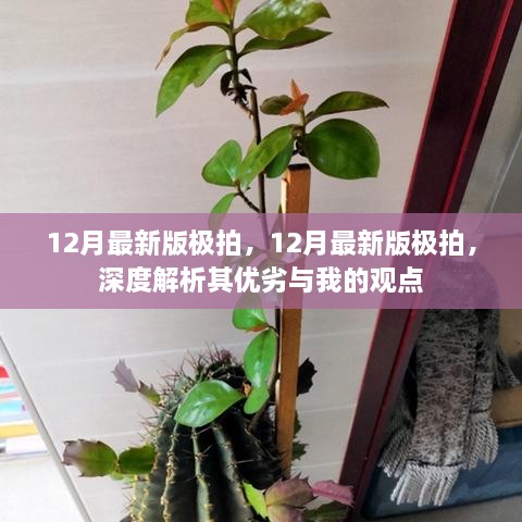 深度解析，最新极拍优缺点与个人观点分享