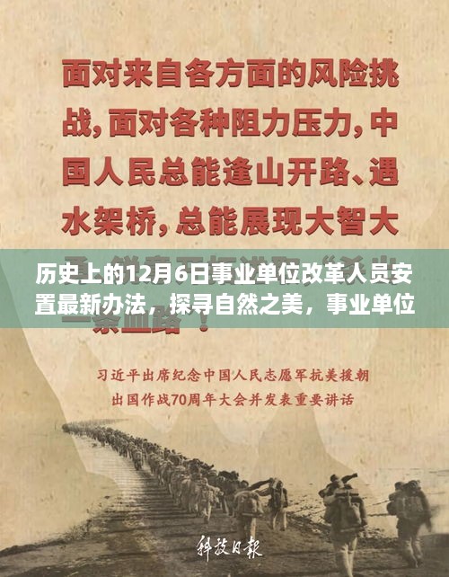 事业单位改革人员安置新办法下的心灵之旅，探寻自然之美与历史时刻回顾的12月6日纪事