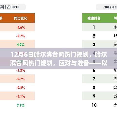 轻松科普，哈尔滨台风应对与准备——热门规划解析与探讨