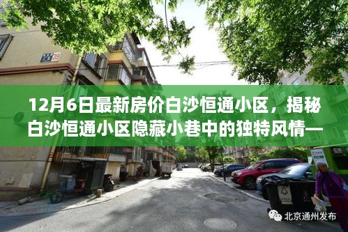 揭秘白沙恒通小区最新房价与小巷独特风情，特色小店魅力探寻