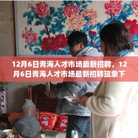 12月6日青海人才市场最新招聘现象下的就业观深度探讨