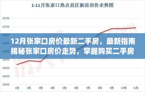 2024年12月7日 第8页